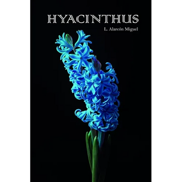 Hyacinthus
