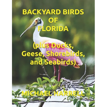 Backyard Birds of Florida