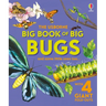 Big Book of Big Bugs