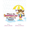 Where Do Butterflies Go When It Rains?