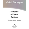 Towards a Visual Culture: Educating through Television