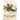 The Log of a Cowboy