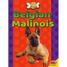 Belgian Malinois