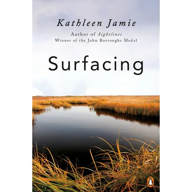 Surfacing