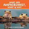 What Are Amphibians?, What & Why: 1st Grade Science Series