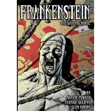 Frankenstein: The Graphic Novel