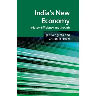 India's New Economy: Industry Efficiency and Growth