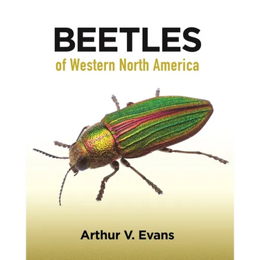 Beetles of Western North America