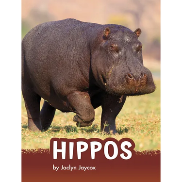 Hippos