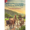 State and Peasant Society in Medieval North India: Essays on Changing Contours of Mewat