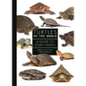 Turtles of the World: A Guide to Every Family