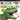 Noisy Dinosaurs: Includes 6 Sounds and an On/Off Switch on the Back Cover!