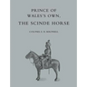 Prince of Walesos Own, the Scinde Horse