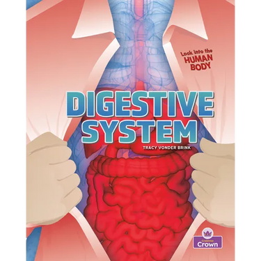 Digestive System