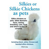 Silkies or Silkie Chickens as Pets. Silkie Bantams Facts, Raising, Breeding, Care, Food and Where to Buy All Covered. Including Black, White, Chinese