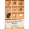 Thousand-Year-Old Words