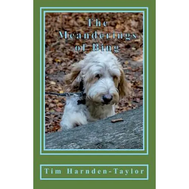 The Meanderings of Bing: A gentle, humorous look at life, snooker, whizzers and other great philosophical mysteries through the meanderings of Bing, a