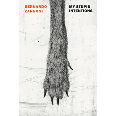 My Stupid Intentions