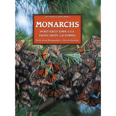 MONARCHS In Butterfly Town U.S.A., Pacific Grove, California