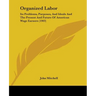 Organized Labor: Its Problems, Purposes, And Ideals And The Present And Future Of American Wage Earners (1903)