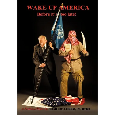 Wake Up America Before It's Too Late!: A Decision Paper by