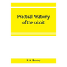 Practical anatomy of the rabbit; an elementary laboratory textbook in mammalian anatomy