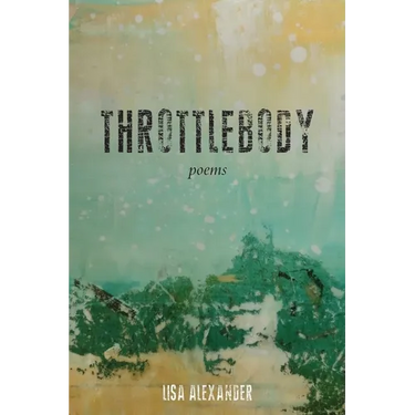 Throttlebody