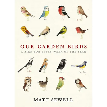 Our Garden Birds