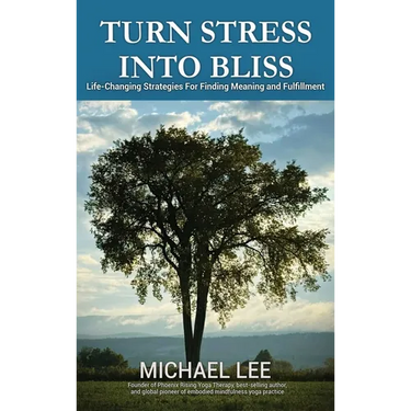 Turn Stress Into Bliss: Life-changing strategies for finding meaning and fulfillment