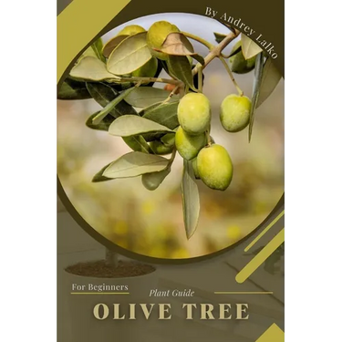 Olive Tree: Plant Guide