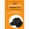 Easy Labrador Puppy Training Tips: How To Raise The Perfect Labrador Easily: Crate Training Guide For Labrador