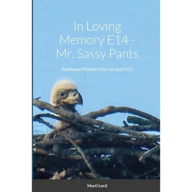 In Loving Memory E14 - Mr. Sassy Pants: Southwest Florida's Harriet and M15