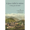 A Grace Called La Salette: A Story for the World