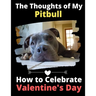 The Thoughts of My Pitbull: How to Celebrate Valentine's Day