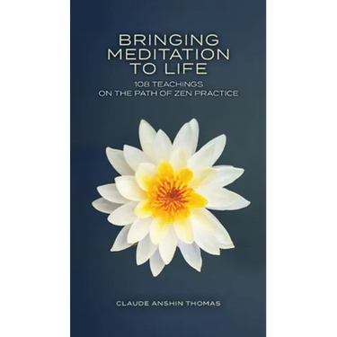 Bringing Meditation to Life: 108 Teachings on the Path of Zen Practice