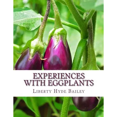 Experiences With Eggplants