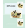 Jersey Cattle: Their Feeding and Management