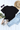 9e7c78a0-57de-477b-8222-756e861df029-Max