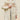 9ebcaf72-9f16-482a-9d11-6a5c653a3f2c-Max