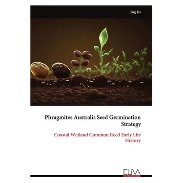 Phragmites Australis Seed Germination Strategy: Coastal Wetland Common Reed Early Life History