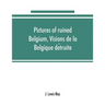 Pictures of ruined Belgium, Visions de la Belgique détruite