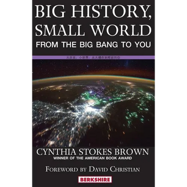 Big History, Small World: From the Big Bang to You