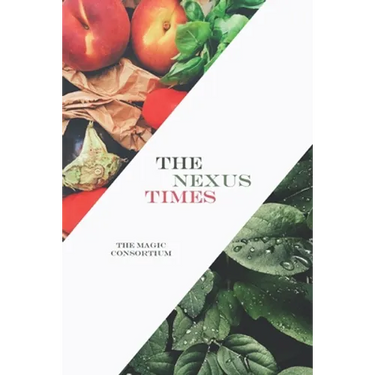 The Nexus Times