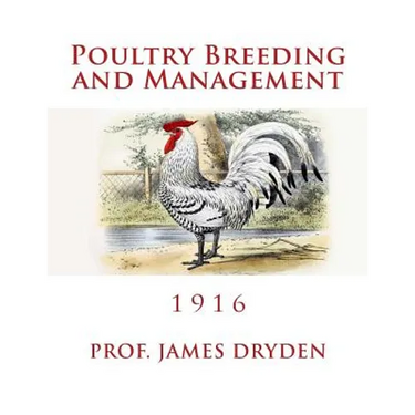 Poultry Breeding and Management: 1916
