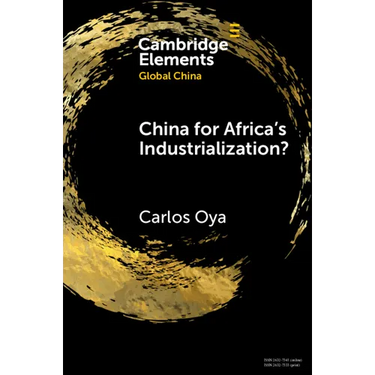 China for Africa's Industrialization?