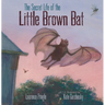 The Secret Life of the Little Brown Bat