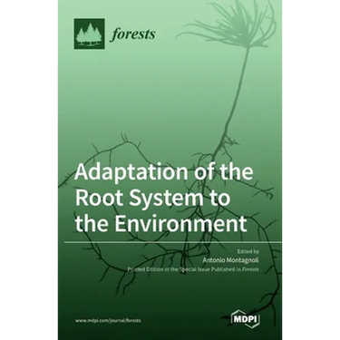 Adaptation of the Root System to the Environment