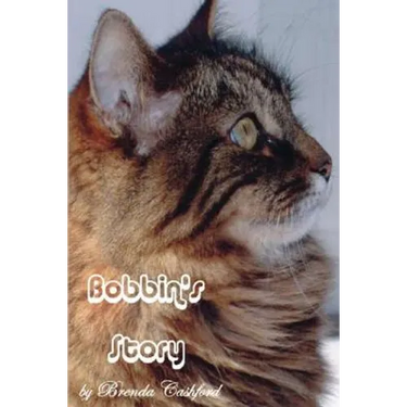 Bobbins Story: The little cat that touched so many lives