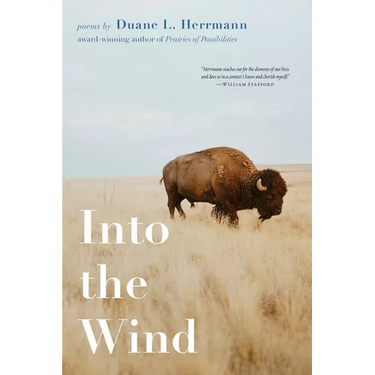 Into the Wind