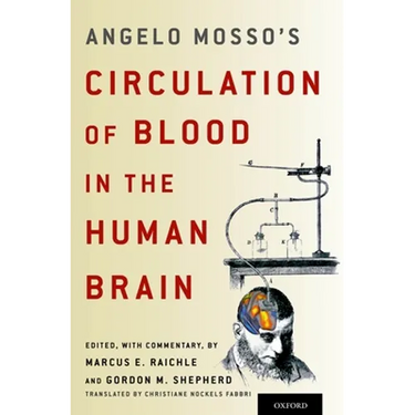 Angelo Mosso's Circulation of Blood in the Human Brain